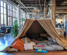 CEO Allows Young Woman to Live Inside "Pillow Fort" in Office - But Watch What Happened Next