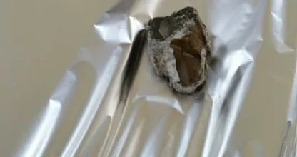 Vrouw schrikt zich kapot wanneer DIT haar dakraam binnenvliegt.. Je raadt nooit wat het was!!
