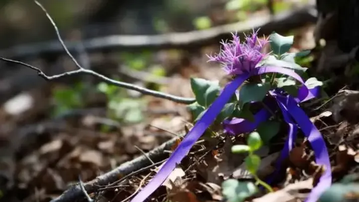 Drone Captures Something Nobody Was Supposed To See