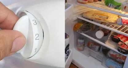 Wir klären auf: Was ist denn nun die optimale Kühlschrank Temperatur?