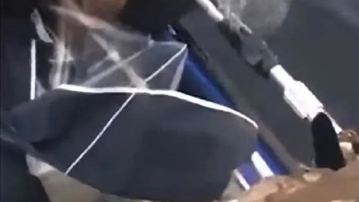 Echa un vistazo a las cosas impactantes que hace esta madre osa mientras los pescadores salvan a sus cachorros