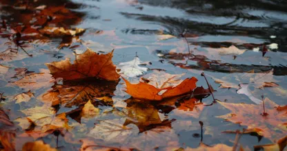 Aha: om deze reden valt er in de herfst zoveel regen