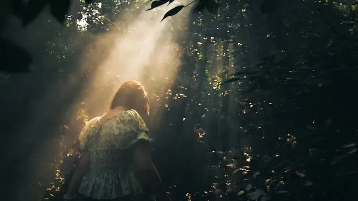 Woman Follows Bear into the Forest After It Unexpectedly Approaches Her at Bus Stop