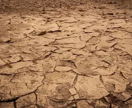 Ongekende droogte in Italië: water is daar nu op rantsoen