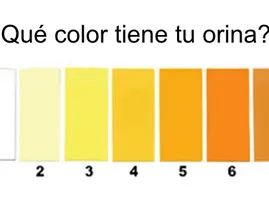 Esto dice el color de tu orina sobre tu salud