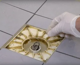 There's a reason why you're disgusted by hair in your shower drain