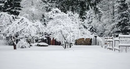 Zit een witte kerst er nog in? Dít weer kunnen we deze week verwachten
