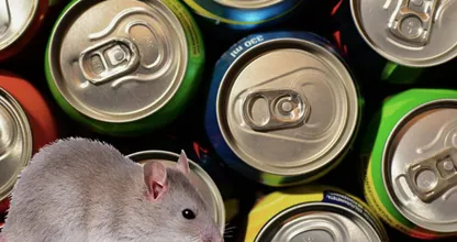 Do you drink soda straight from the can? This is why you probably shouldn't