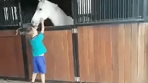 VIDEO: jongetje (7) verkocht twee jaar limonade om een pony te kunnen kopen, moet je zijn koppie zien toen hij hem kreeg!
