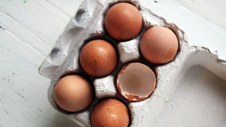 5x You can also get food poisoning from this food