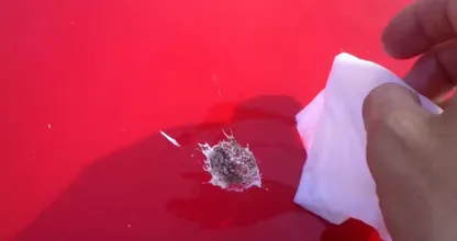 Zo verwijder je vogelpoep van je auto zonder krassen