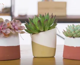 DIY: tover je plastic flessen om tot leuke bloempotten