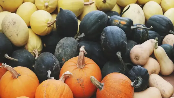 Porque é que se deve comer abóboras todos os dias!
