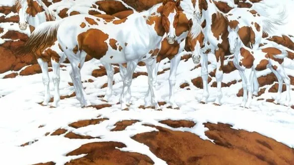 Hoeveel paarden spot jij op dit mooie schilderij? Als je het goed hebt hoor schijn je bij de slimste mensen ter wereld te horen!