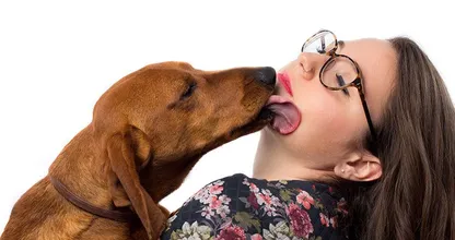 VIDEO: Erlaubst du deinem Hund dich im Gesicht abzulecken? DESWEGEN solltest du das ab jetzt verbieten!