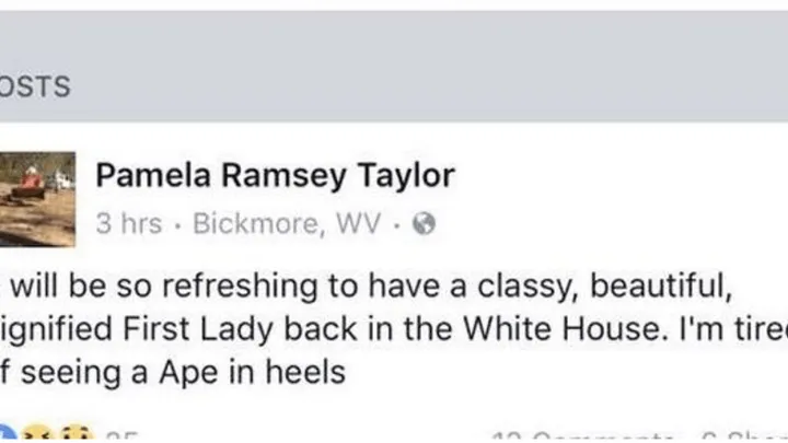 Deze Amerikaanse zakenvrouw zegt DIT over Michelle Obama in een tweet en wordt ontslagen..