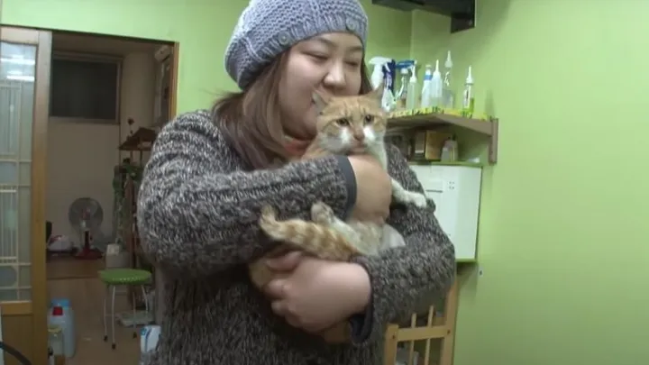 This homeless cat only accepts food from a bag and the reason is touching