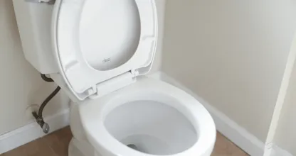 Coisas que você não deveria jogar no vaso sanitário
