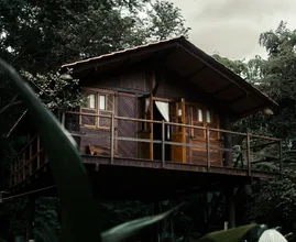 Dit is de populairste Airbnb ter wereld