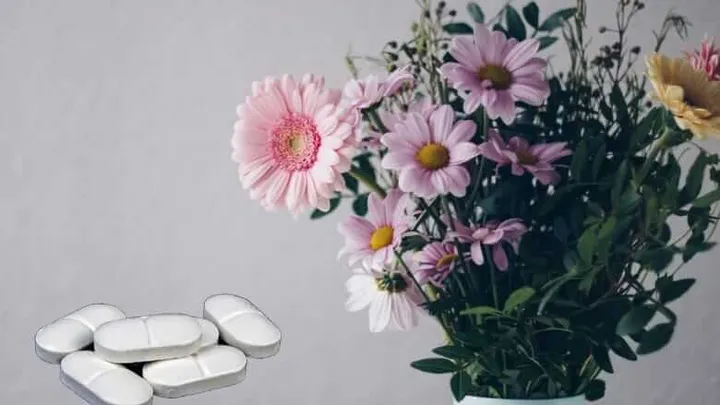 Per questo motivo dovresti mettere un'aspirina nel vaso dei fiori