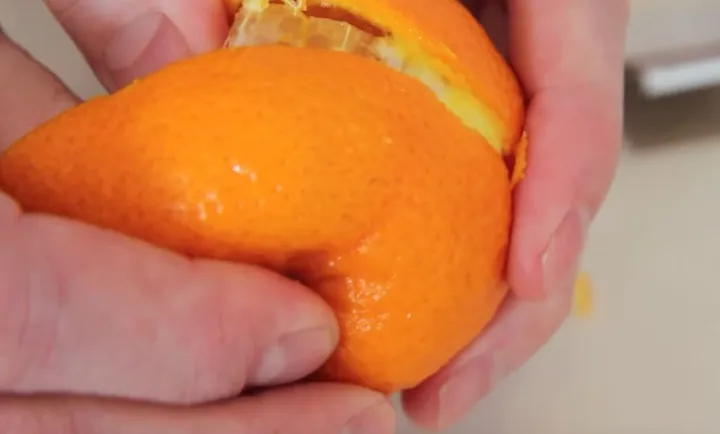 mandarine-1-4