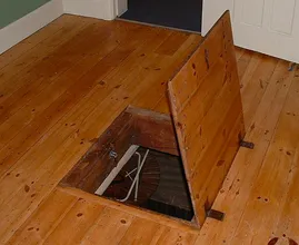Their grandfather passed away, then they found a trap door in his living room