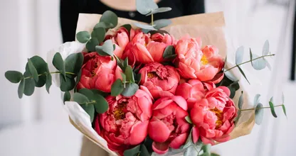 Deze bloemen wil je jezelf cadeau doen volgens je sterrenbeeld