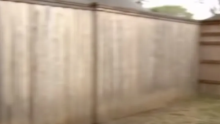 Man takes cute “puppy” home with him, which turns out to be a dangerous mistake