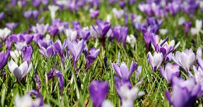 Lenteweer op komst! Tijd voor een terrasje in de zon?