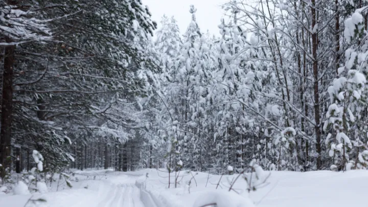 81-year-old survives week in snowbank eating candy & croissants