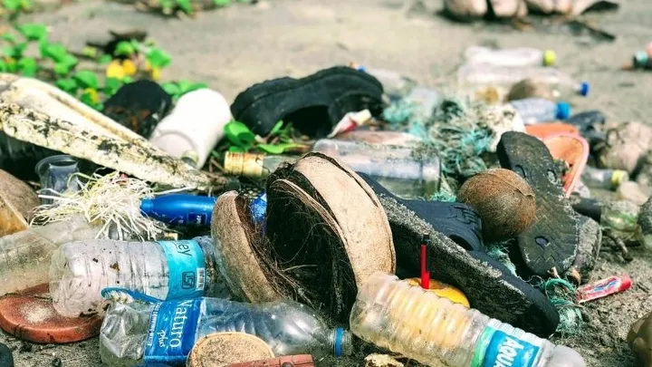 Encontraron estas 21 cosas especiales en un canal drenado en París