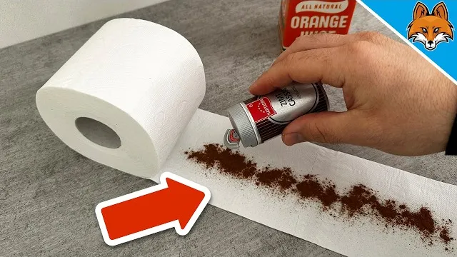 Vous ne croirez pas ce qui se passe quand on ajoute de la cannelle à du papier hygiénique !