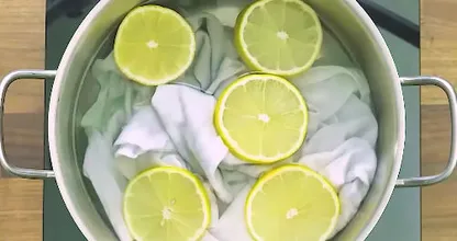 Koche ein nicht mehr ganz rein weißes T-Shirt mit Zitronenscheiben - und das hier passiert.