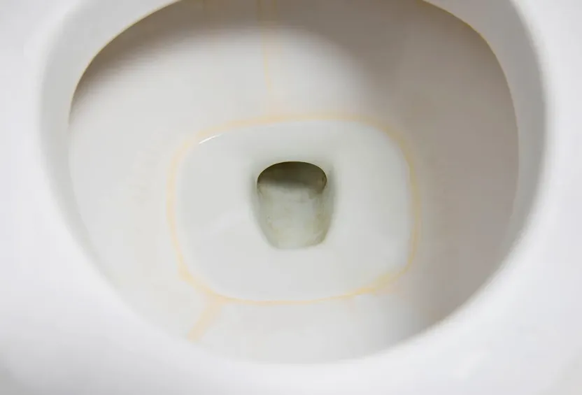 This is why bleach won't remove the brown ring in your toilet—and what experts recommend