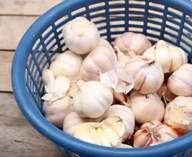 Du brauchst nur eine Papiertüte und einen Locher. So bleibt dein Knoblauch viel länger würzig