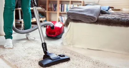 Dure luchtverfrissers in huis zijn bij deze verleden tijd en je huis is direct stofvrij! Twee vliegen in 1 klap!