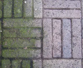 ¿Eliminar manchas verdes de los azulejos del patio? Con este truco, es muy sencillo! ¡Realmente debes probar esto!