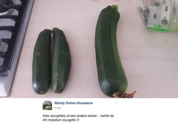 courgette3