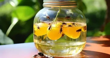 Fliegenfreie Küche: Ein DIY-Leitfaden zum Vertreiben von Fruchtfliegen mit diesem genialen Lifehack!