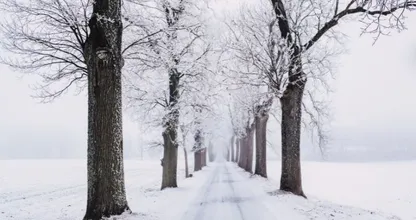 Geen 1 aprilgrap: deze week nog kans op sneeuw