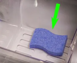 Hast du schon einen Schwamm im Kühlschrank? Wenn du diesen Trick kennst, wirst du sofort einen hineinlegen.