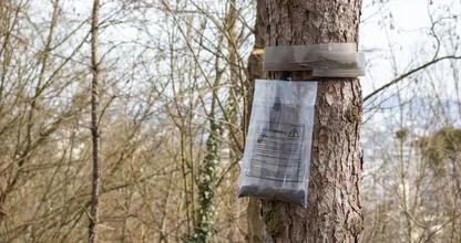 Een plastic zak hangend aan een boom? Vermijd deze plek, het duidt op echt gevaar
