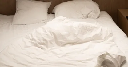 This is why you shouldn't make your bed in the morning