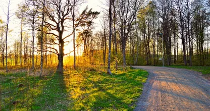 Zet de zonnebril maar op: komend weekend volop zon