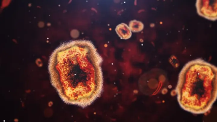Apenpokkenvirus krijgt een nieuwe naam, heet voortaan mpox