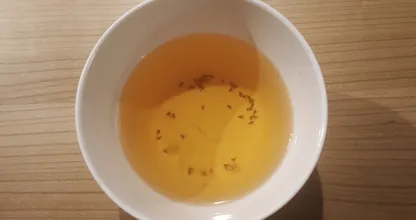 Last van fruitvliegjes? De oplossing heb je al in je keukenkastje liggen!