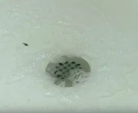 Got a clogged shower drain? This natural solution will unclog it for you in a jiffy!
