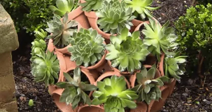 Dit is echt fantastisch leuk om met je bloempotten te doen! Het kost bijna niets!