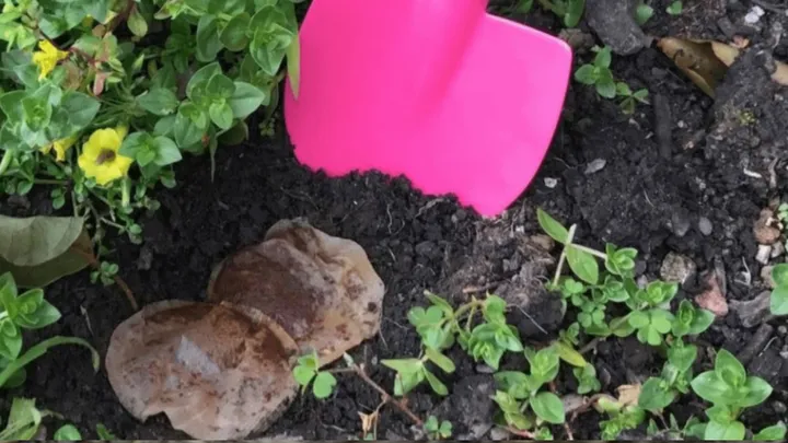 Poner las bolsitas de té usadas en el jardín tiene muchos beneficios