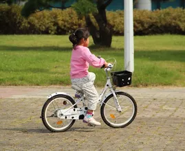 Huh? ANWB stelt dat je pas met 10.000 uren ervaring goed kunt fietsen